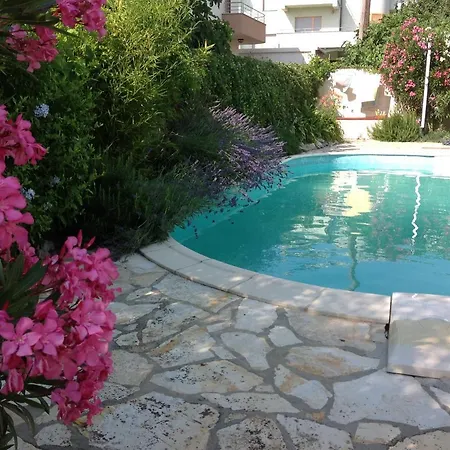 In Villa, Big Garden, Private Pool, Close To And Town Lägenhet Zadar