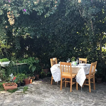 In Villa, Big Garden, Private Pool, Close To And Town زادار